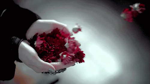 fleurs