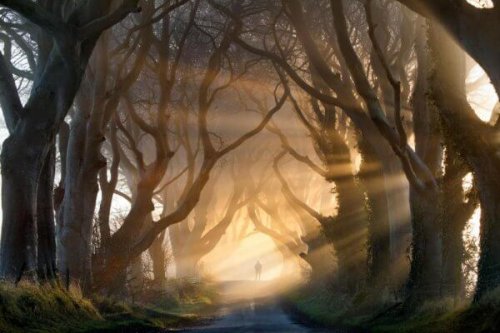 les pour et les contre de la peur dans les films d'horreur