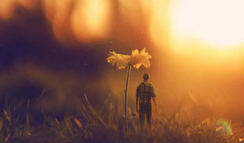 intelligence émotionnelle et personnalité authentique