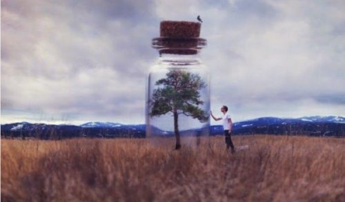 phrases de Jorge Bucay