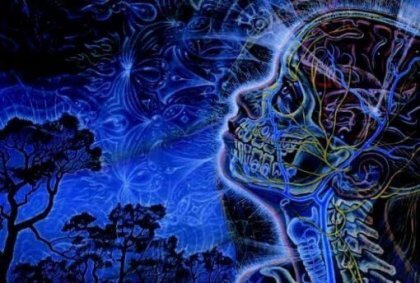 les différentes glandes associées au cerveau