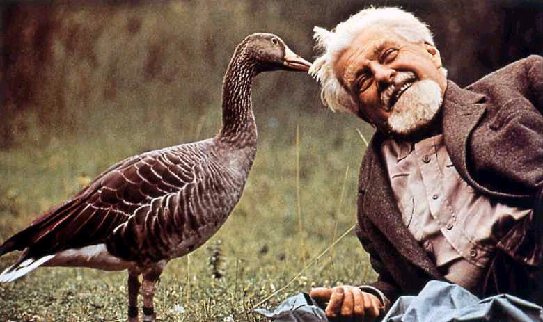 Konrad Lorenz, un héritage pour éveiller à la vie