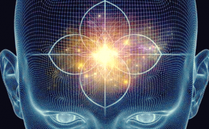 Glandes pituitaire et pinéale : fonctions et caractéristiques