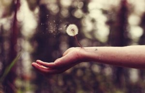 Soigner la plaie d’une trahison