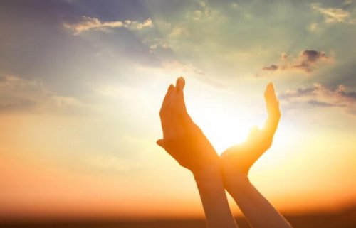 pleine conscience et compassion