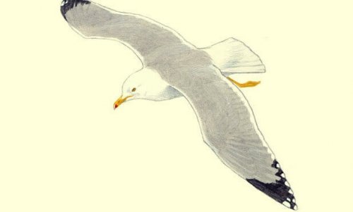 la mouette et la bonté, une magnifique fable chinoise