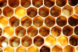 Trypophobie : symptômes, causes et traitement