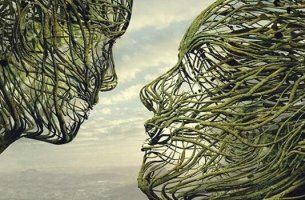 cerveau empathique