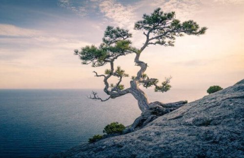 solitudes postmodernes