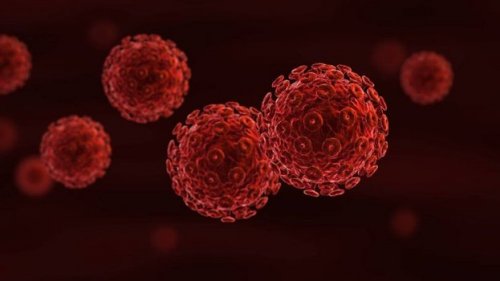 cellules de maladies sexuellement transmissibles