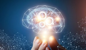 La théorie de l'intelligence machiavélique