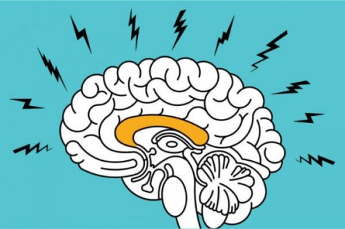 cerveau anxieux