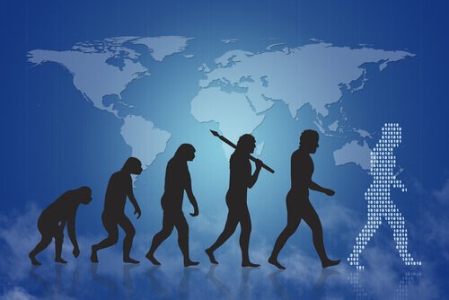 L'évolution humaine pour expliquer la sélection naturelle