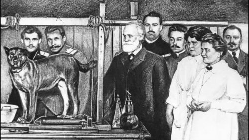 pavlov et le conditionnement