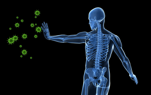 homme et virus