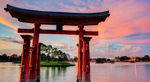 Ikigai : le mystère japonais pour trouver le bonheur
