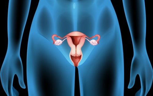 Kystes ovariens : symptômes, causes et traitements