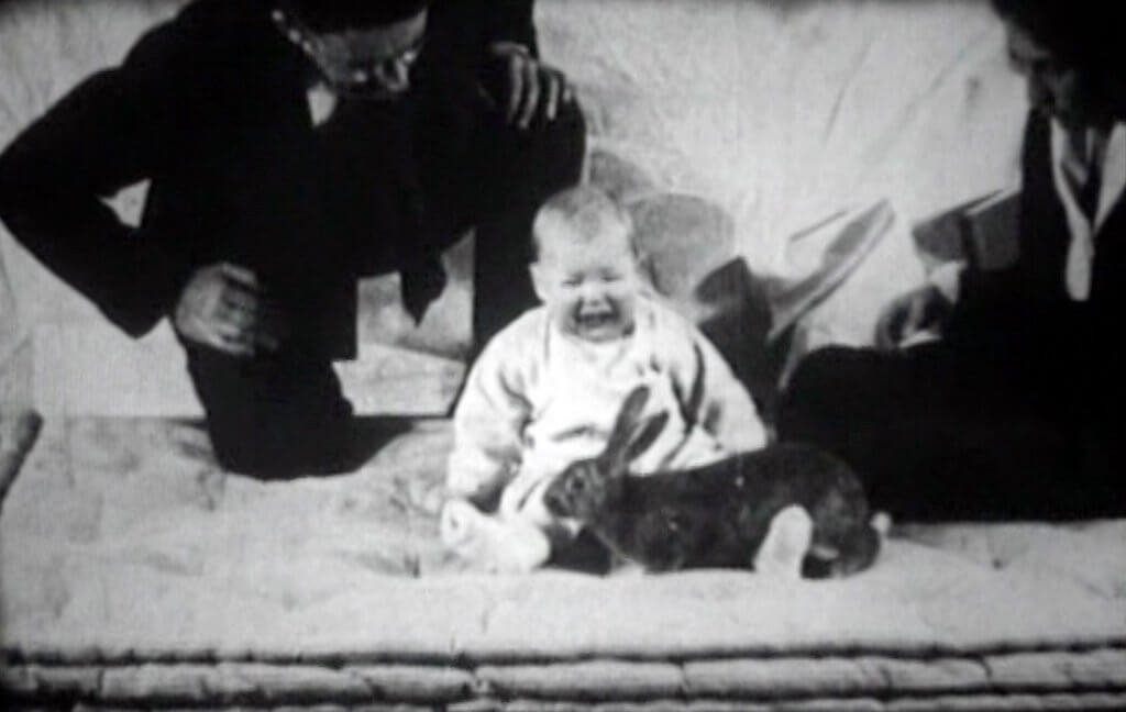 le petit albert