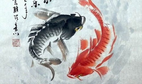 poisson yin et yang