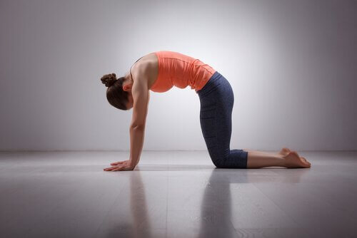 postures de yoga : posture du chat