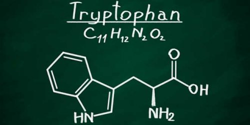 optimiser votre bien-être avec le tryptophane 