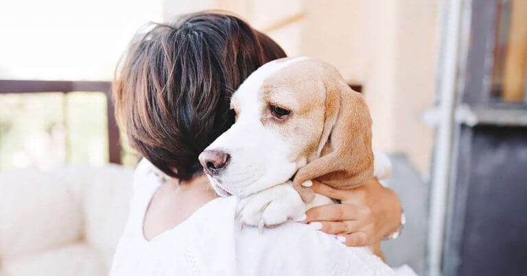 amour d'un animal de compagnie