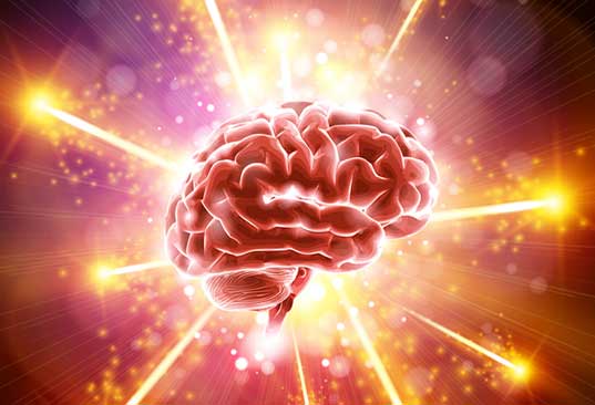 pourquoi le cerveau vieillit ?