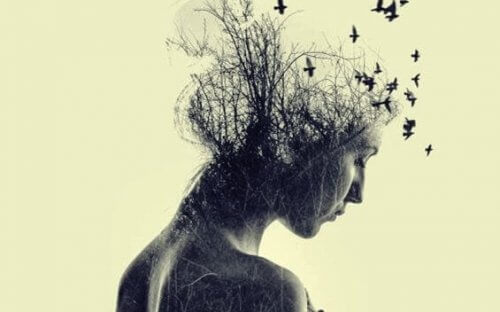 phrases de Sénèque