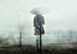 Mythes sur le deuil : les pièges habituels dans la gestion de la perte
