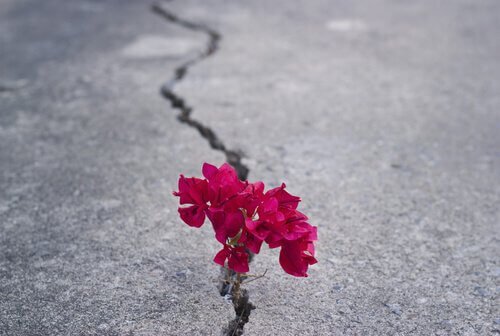 esprit d'entreprise et résilience