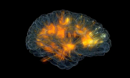 les contenus digitaux et le cerveau
