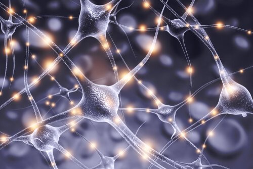 connexionnisme et neurones