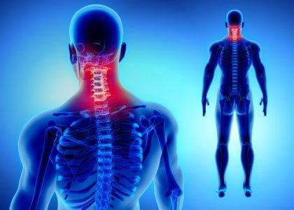 causes des douleurs cervicales