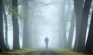 Le test de la forêt, un test de psychanalyse relationnelle