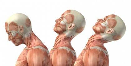 flexion cervicale