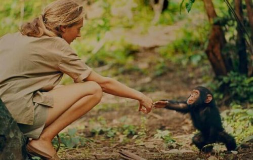 phrases de Jane Goodall