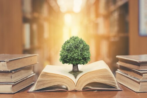 5 livres de psychologie éducative que vous devez lire