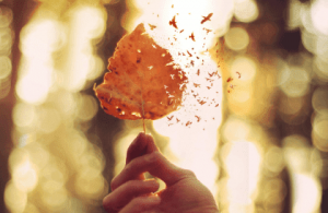 5 clés pour exprimer la douleur émotionnelle