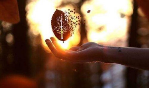 déclin de l'illusion