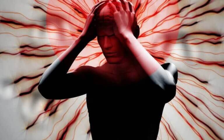 nocicepteurs et fibromyalgie