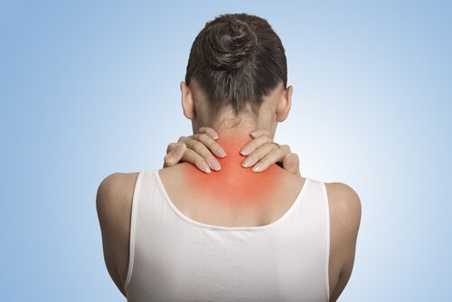 la fibromyalgie et les probiotiques