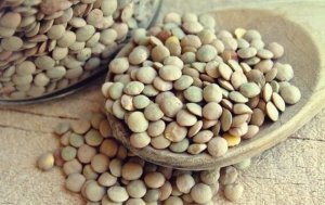 Les bénéfices de l'acide folique pour la santé de notre cerveau