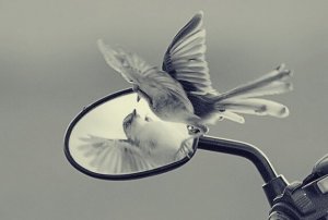 Les pièges de l'ego qui s'opposent à notre liberté et à notre développement personnel