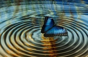 La théorie du chaos: lorsque le battement d'ailes d'un papillon peut tout changer