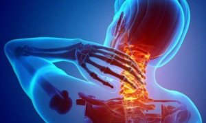 Les nocicepteurs, les récepteurs de la douleur