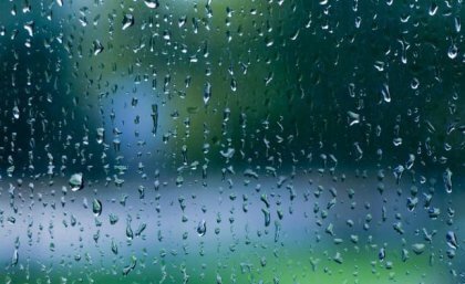 Le son de la pluie : une mélodie de calme pour notre cerveau