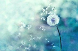 Les coïncidences montrent que vous êtes sur le bon chemin