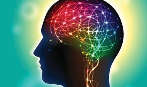cerveau lumineux