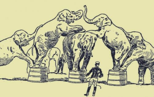 l'histoire de l'éléphant enchaîné