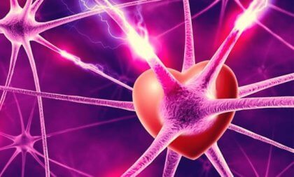 Neurones, hormones et amour